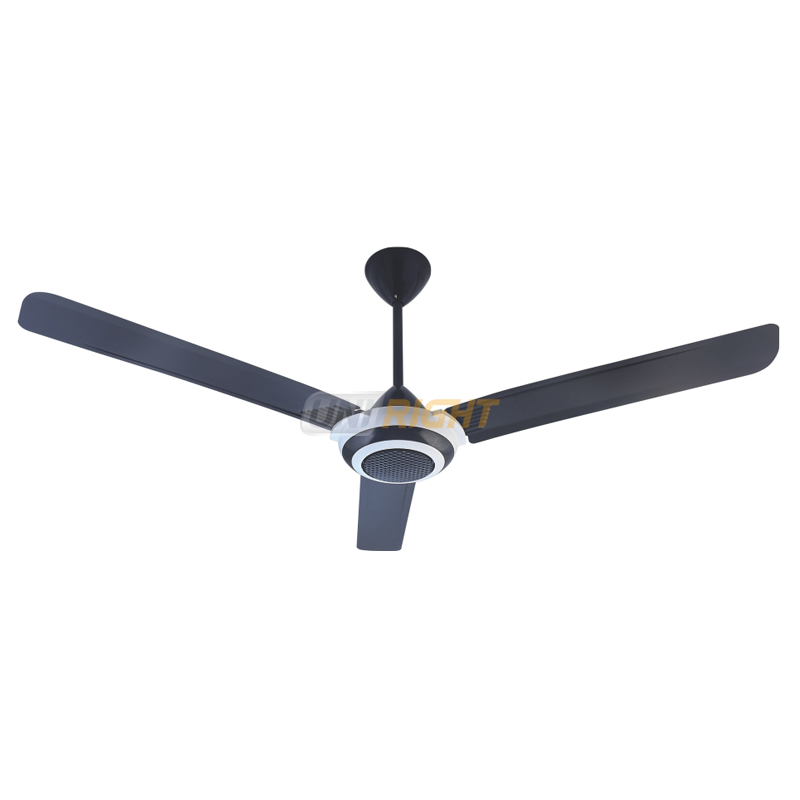 Ceiling Fan