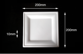 disposable biodegradable tableware 8" Square Plate