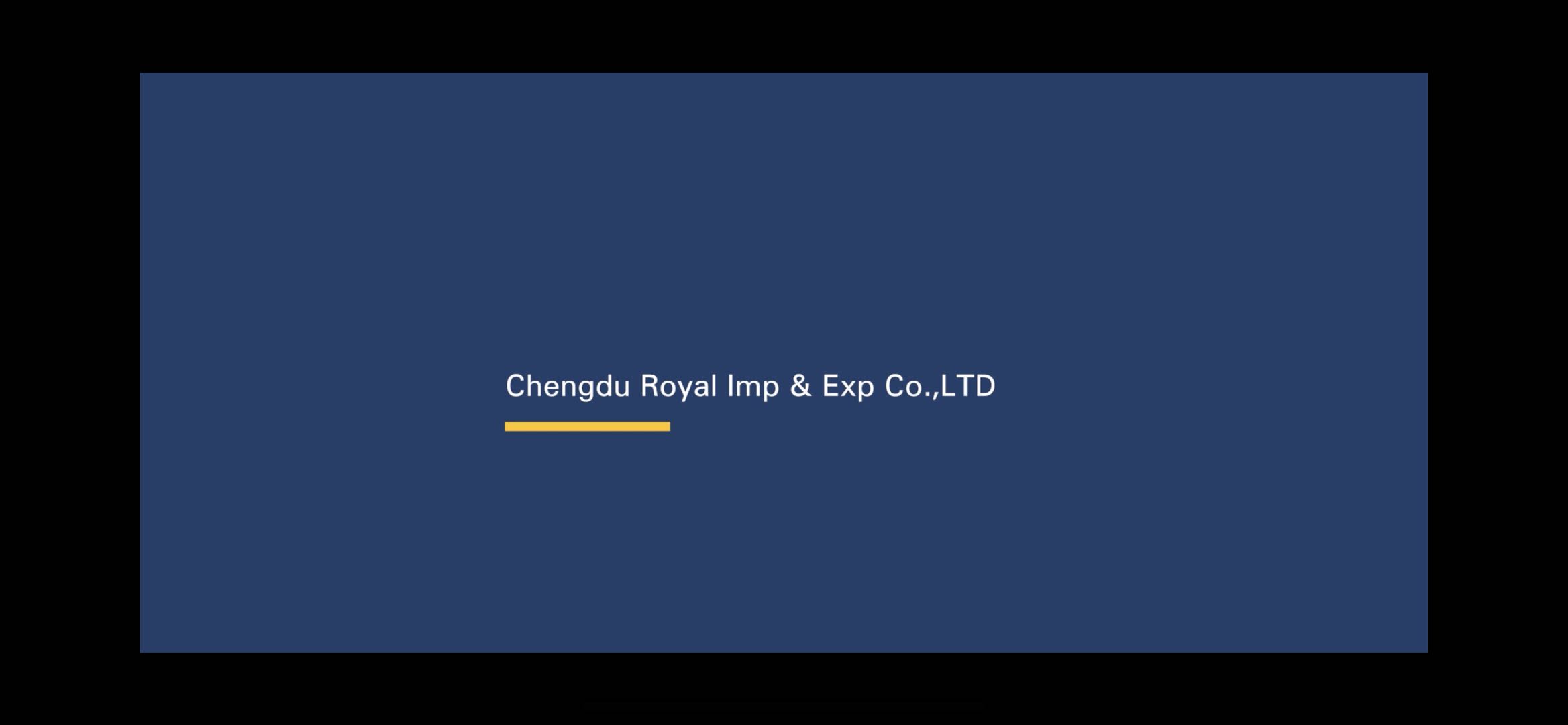 Chengdu Luoya Import and Export Trading Co., Ltd. – women's leather shoes 1