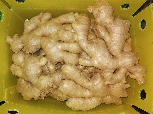 Fresh ginger