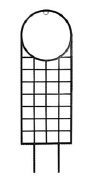 Garden Trellis