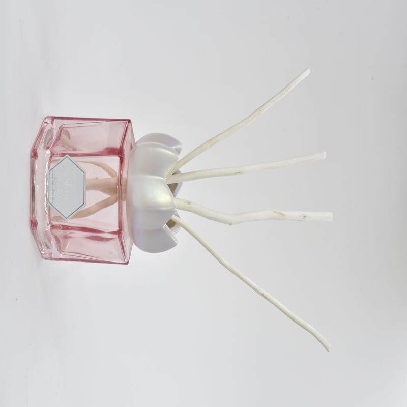 Gorgeous Fragrance Diffuser World-1