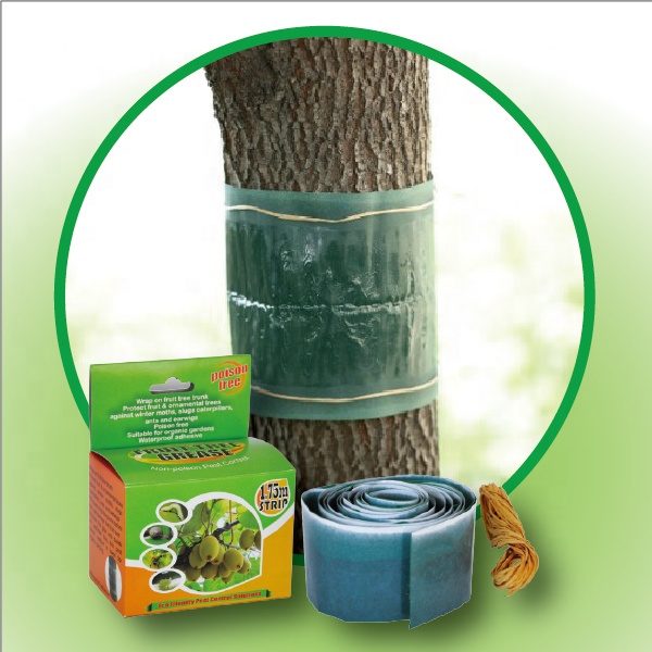 Tree Glue Band