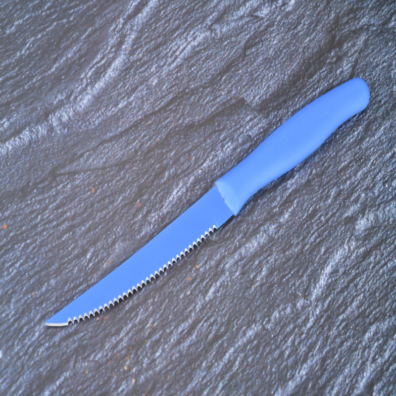 Steak Knife
