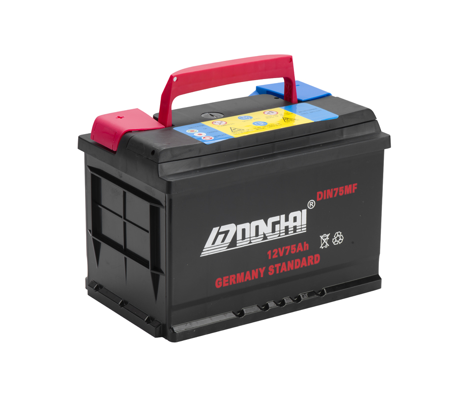 Starter Battery Mf