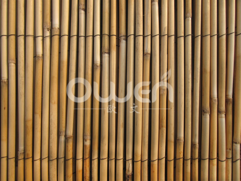 Peeled reed fence