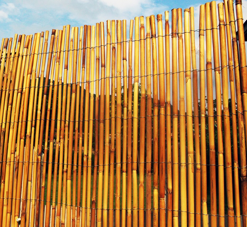 White Fern fence