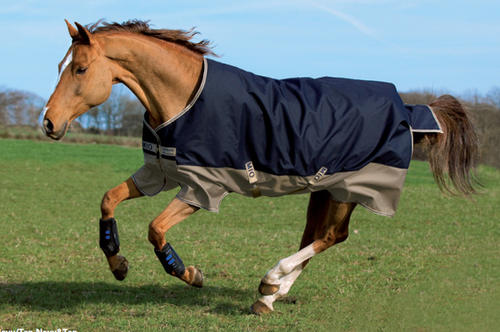 210T Nylon Solid Fabric for Horse Rug
