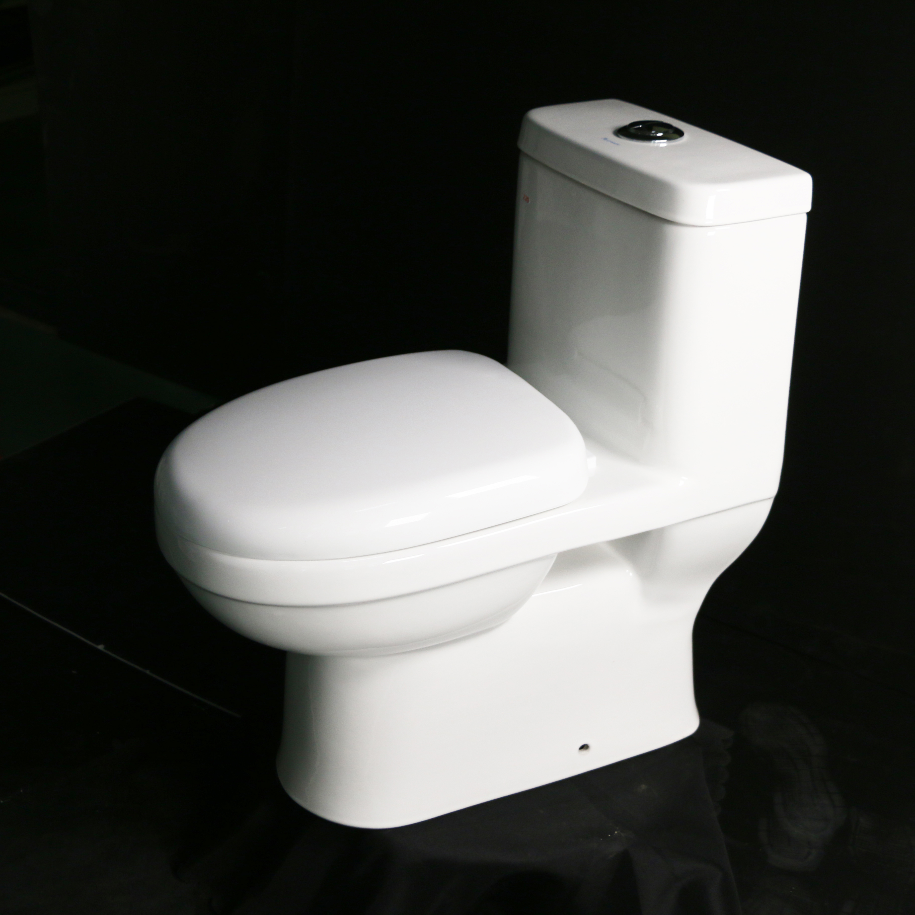 Sanitaryware ceramic ceramic washdown 220mm one piece toilet