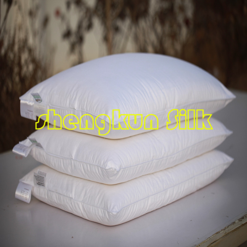 Luxury Sleeping 100% Natural Mulberry Silk Pillow with Cotton Shell