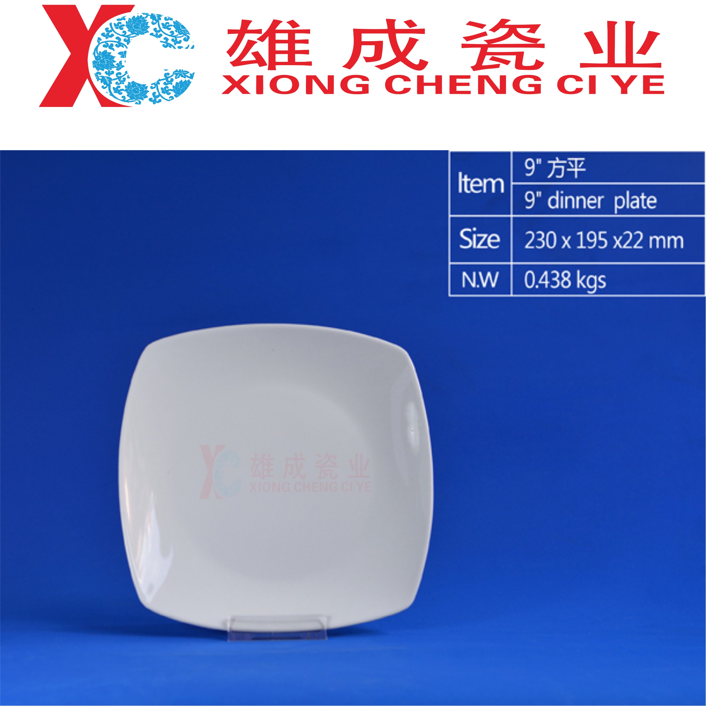 9‘’ square dinner plate