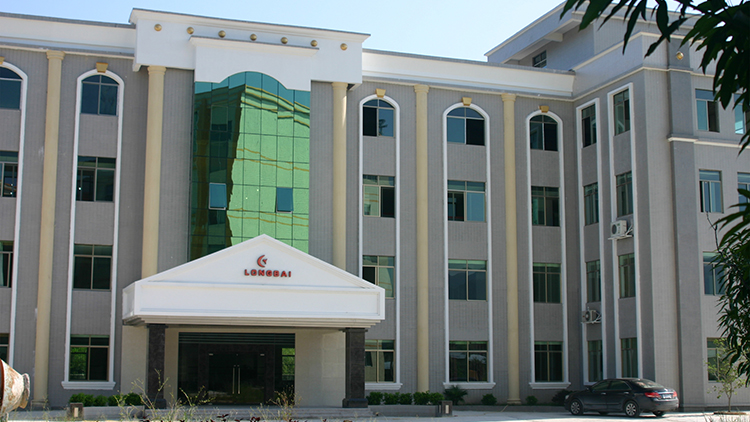 Yonglong Bai Shiji Industrial (Longchuan) Co., Ltd. – Quartz watches 1
