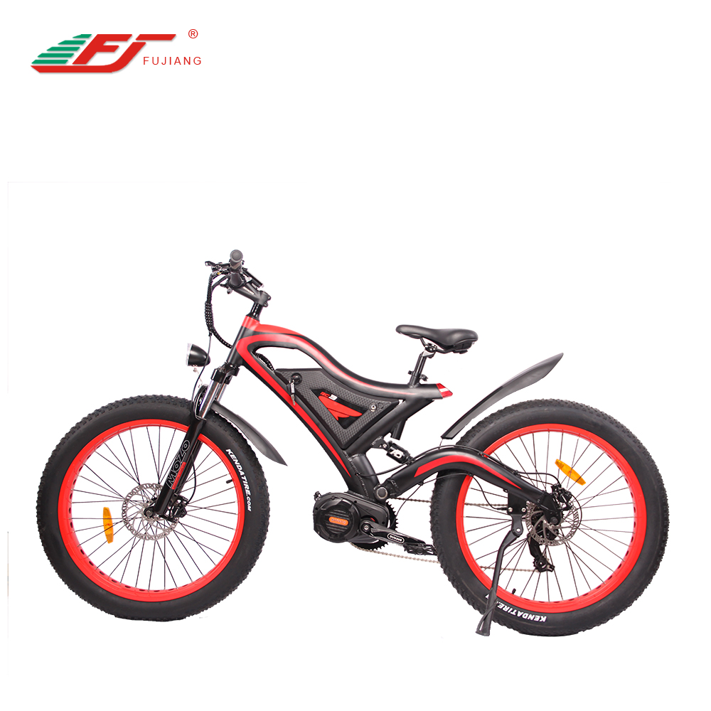 Changzhou Fujiang Vehicle Co.,LTD – Electric Bicycle Motor 2