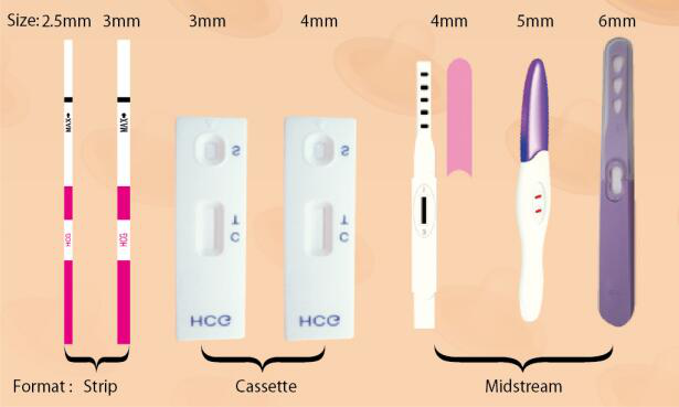 Pregnanacy test kit