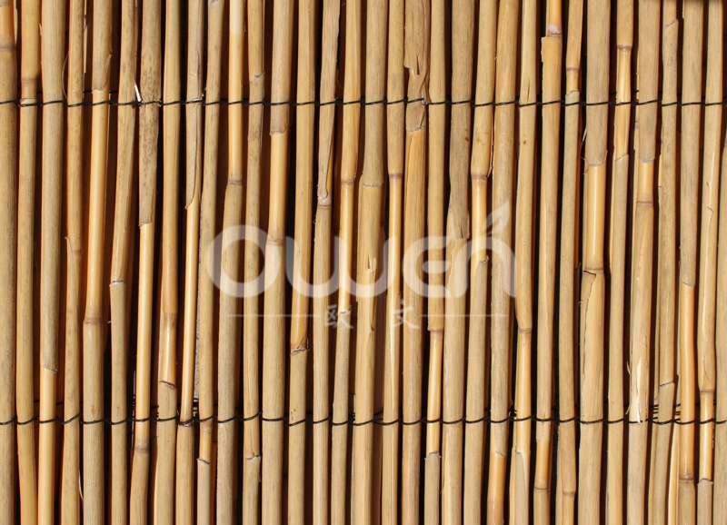 Unpeeled reed fence