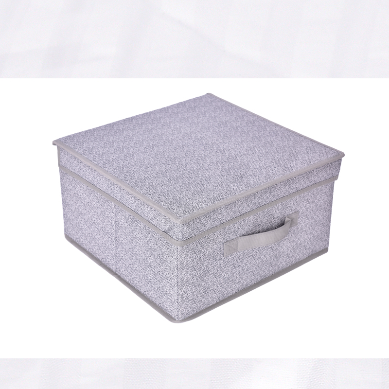 Storage Box with Flip-top Lid