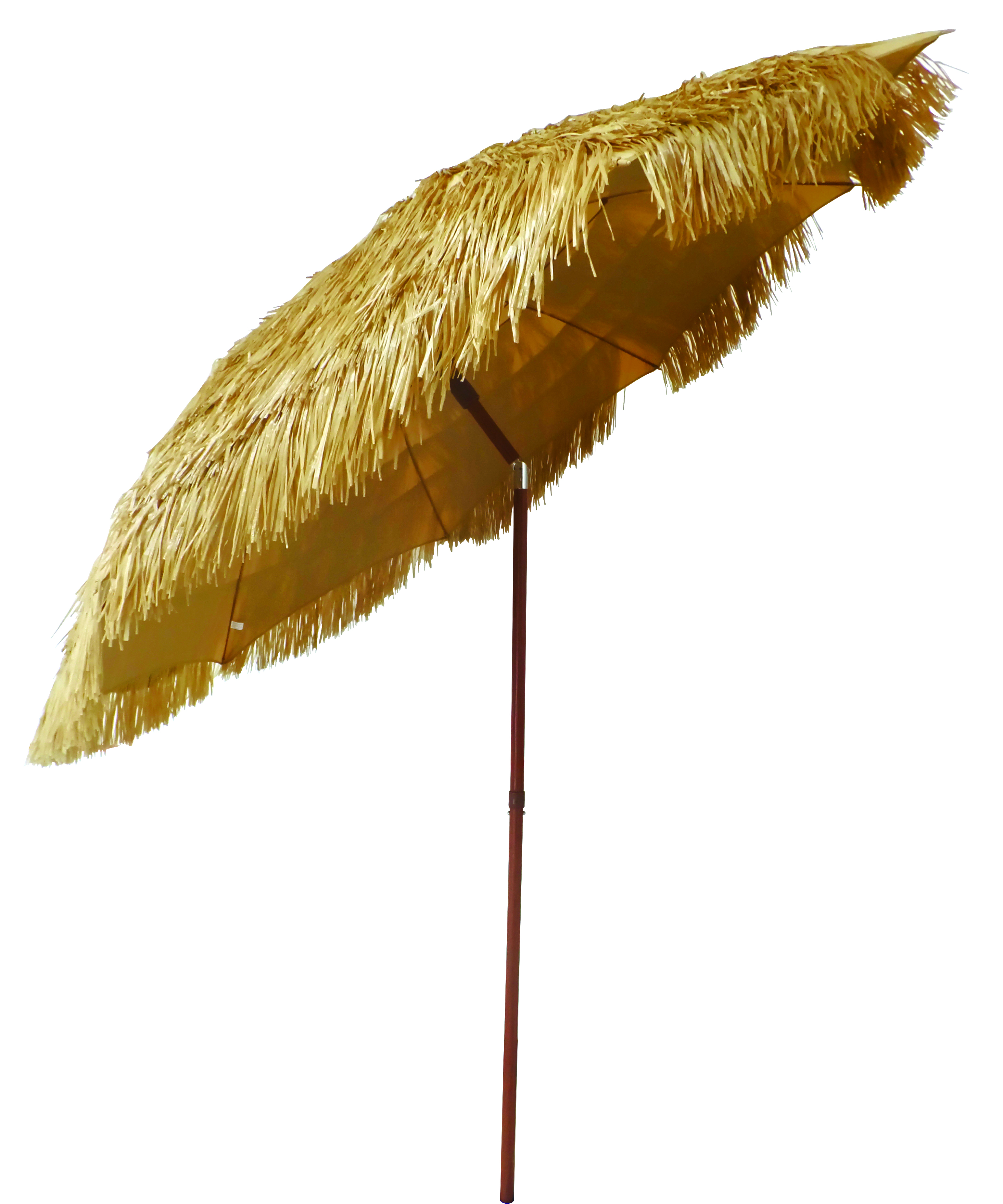 Beach Umbrella
