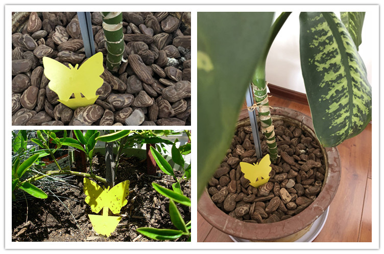Flower Insect Trap