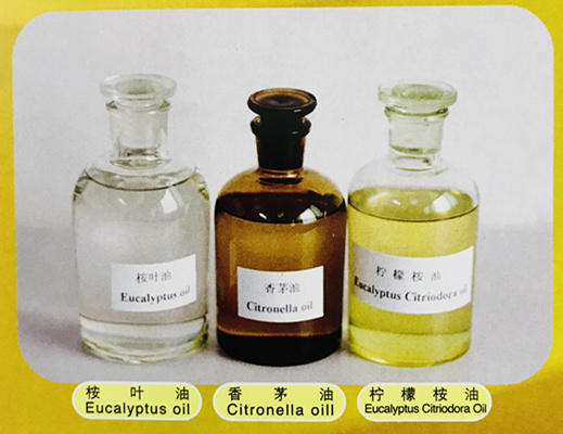 Eucalyptus Citriodora oil