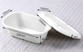 1000ml Salad Box