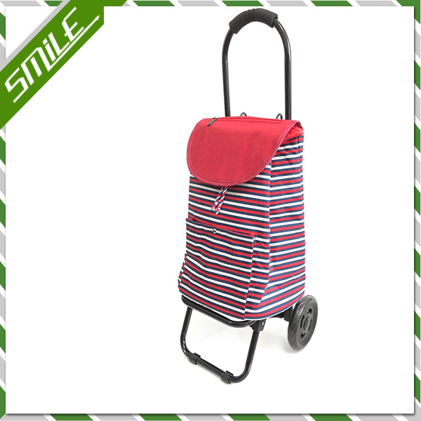 Shopping Cart With Cooler Bag