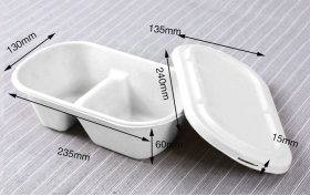 1000ml 2compartments Salad Box