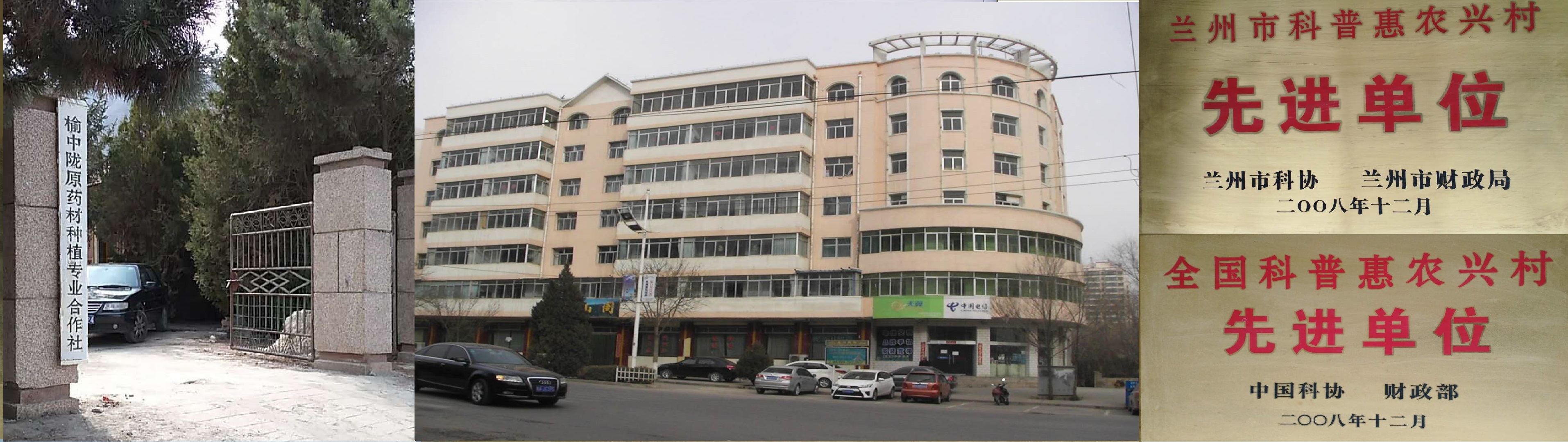 Yuzhong Longyuan Medicinal Materials Planting Professional Cooperative – other Chinese medicinal materials 2