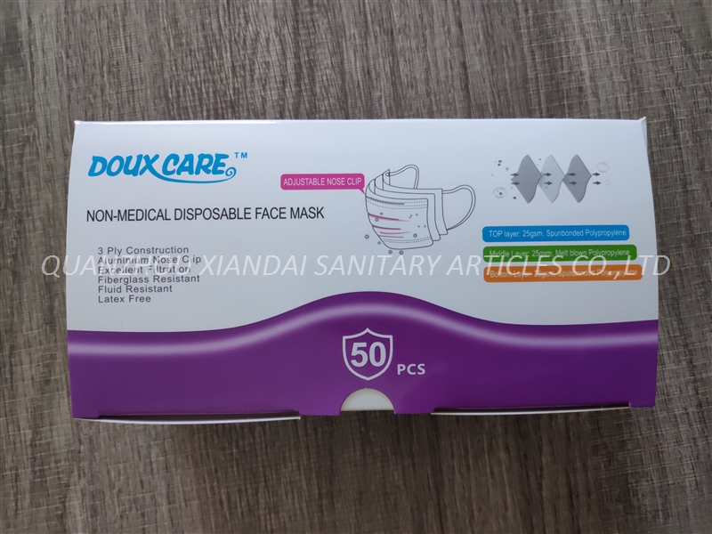 Non-Medical Disposable Face Mask