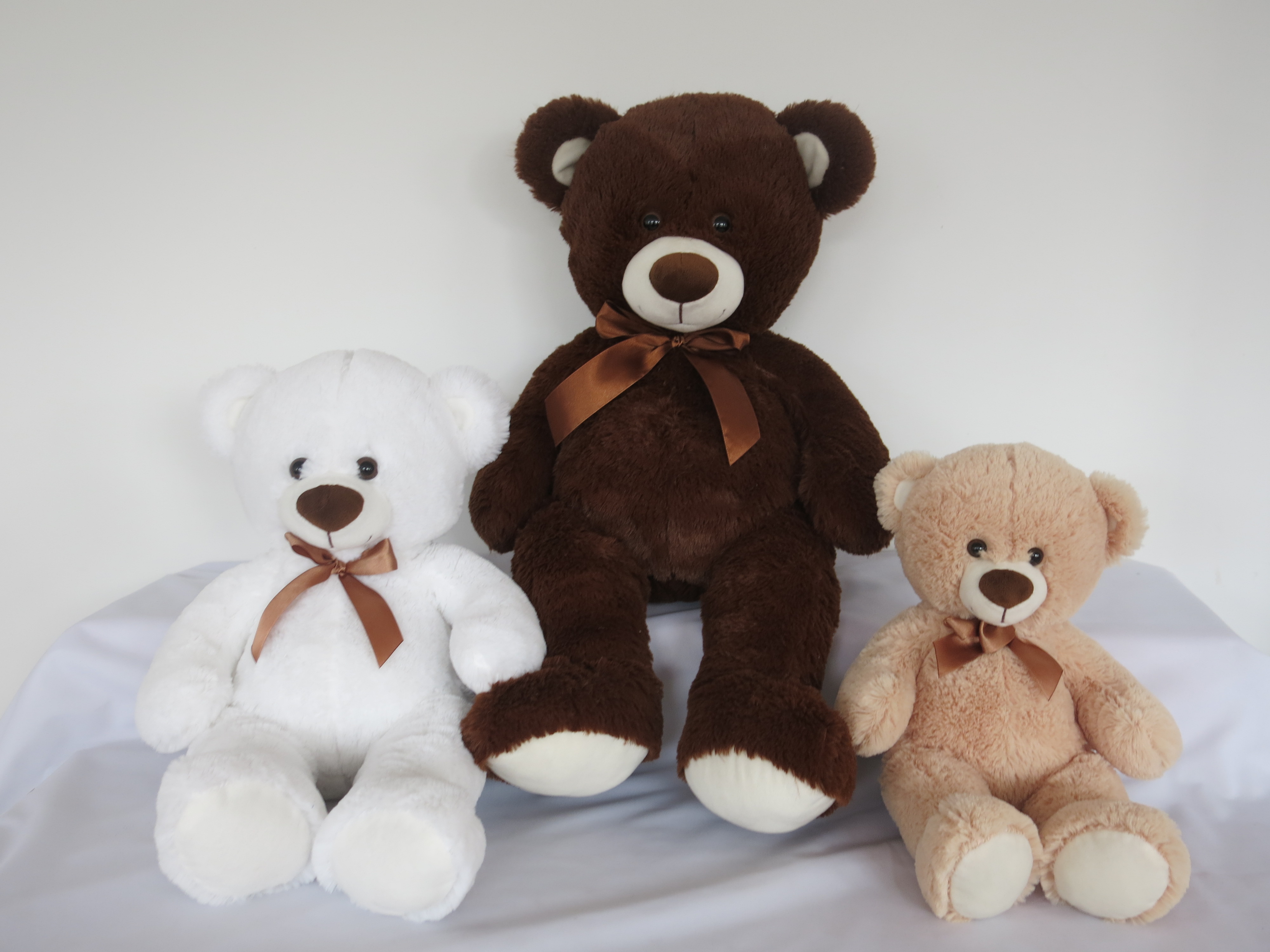 3 Color Bear