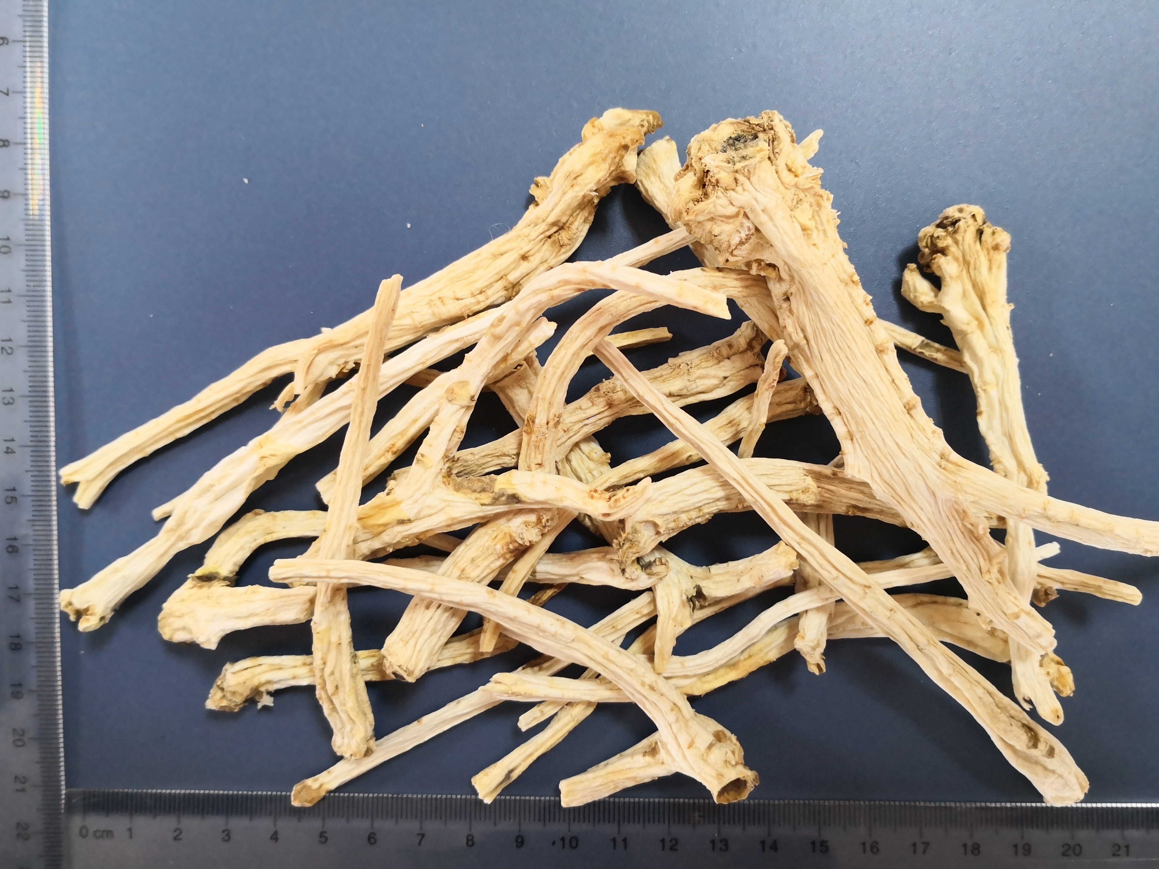 Platycodon Root