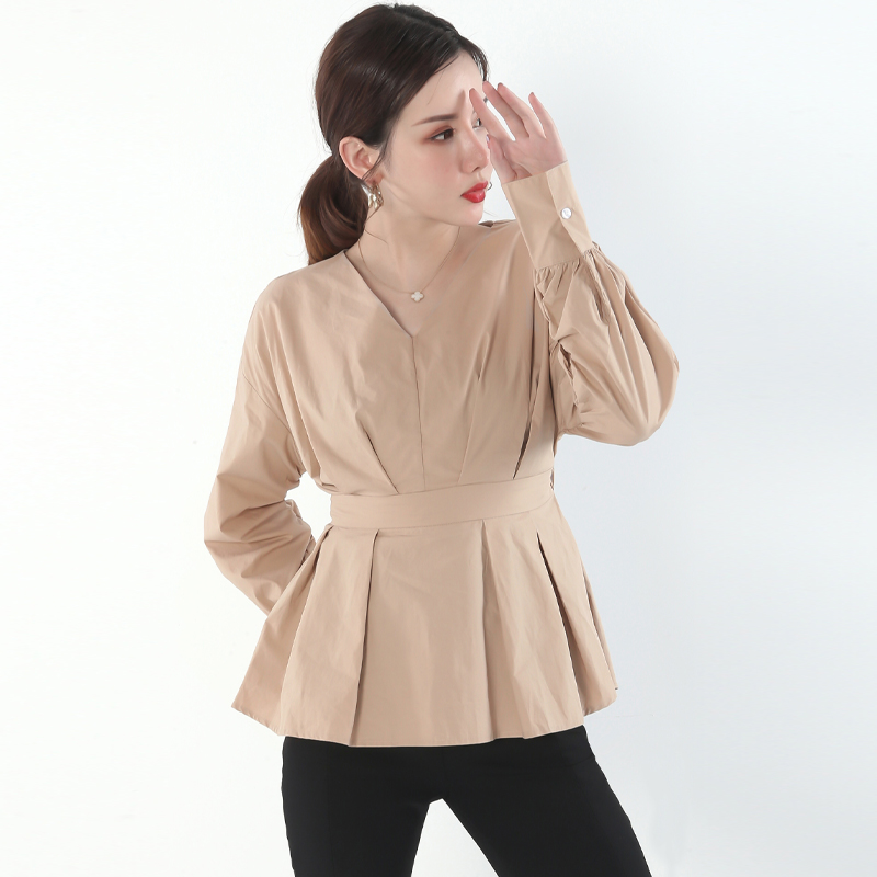 Ladies blouse