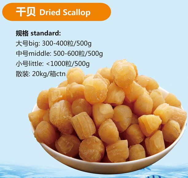 big dried scallop