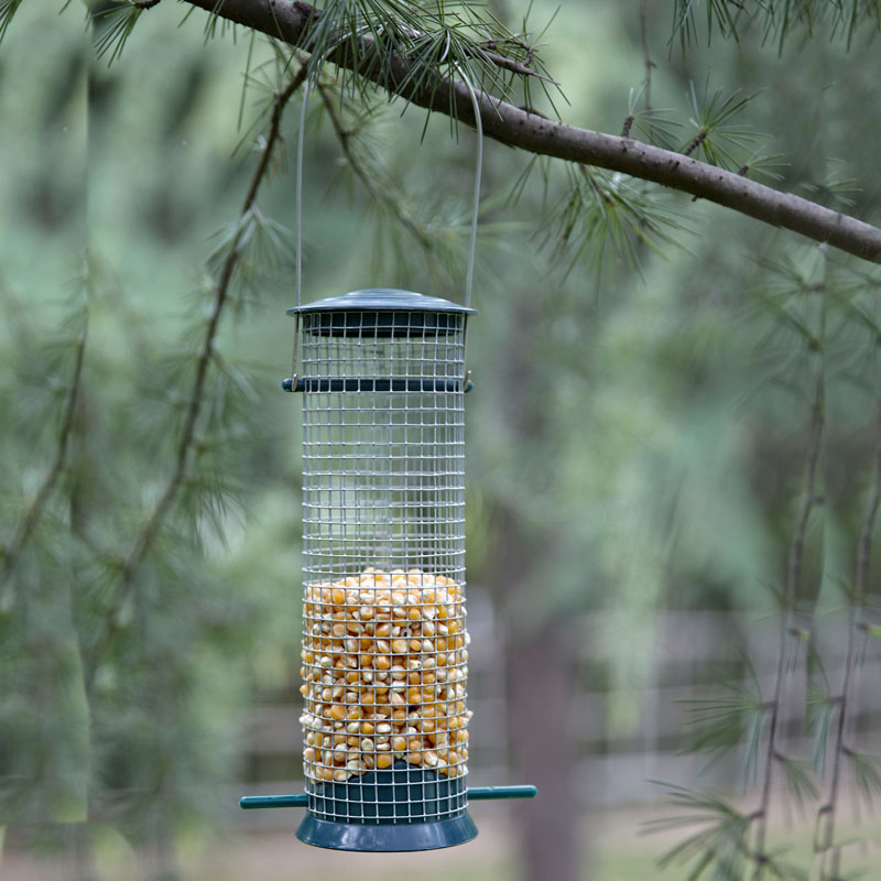 Plastic Bird Feeder