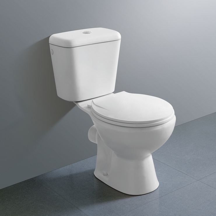 Washdown two piece toilet