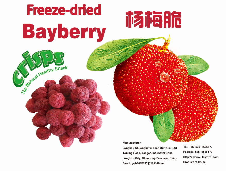 Freeze Dried Bayberry