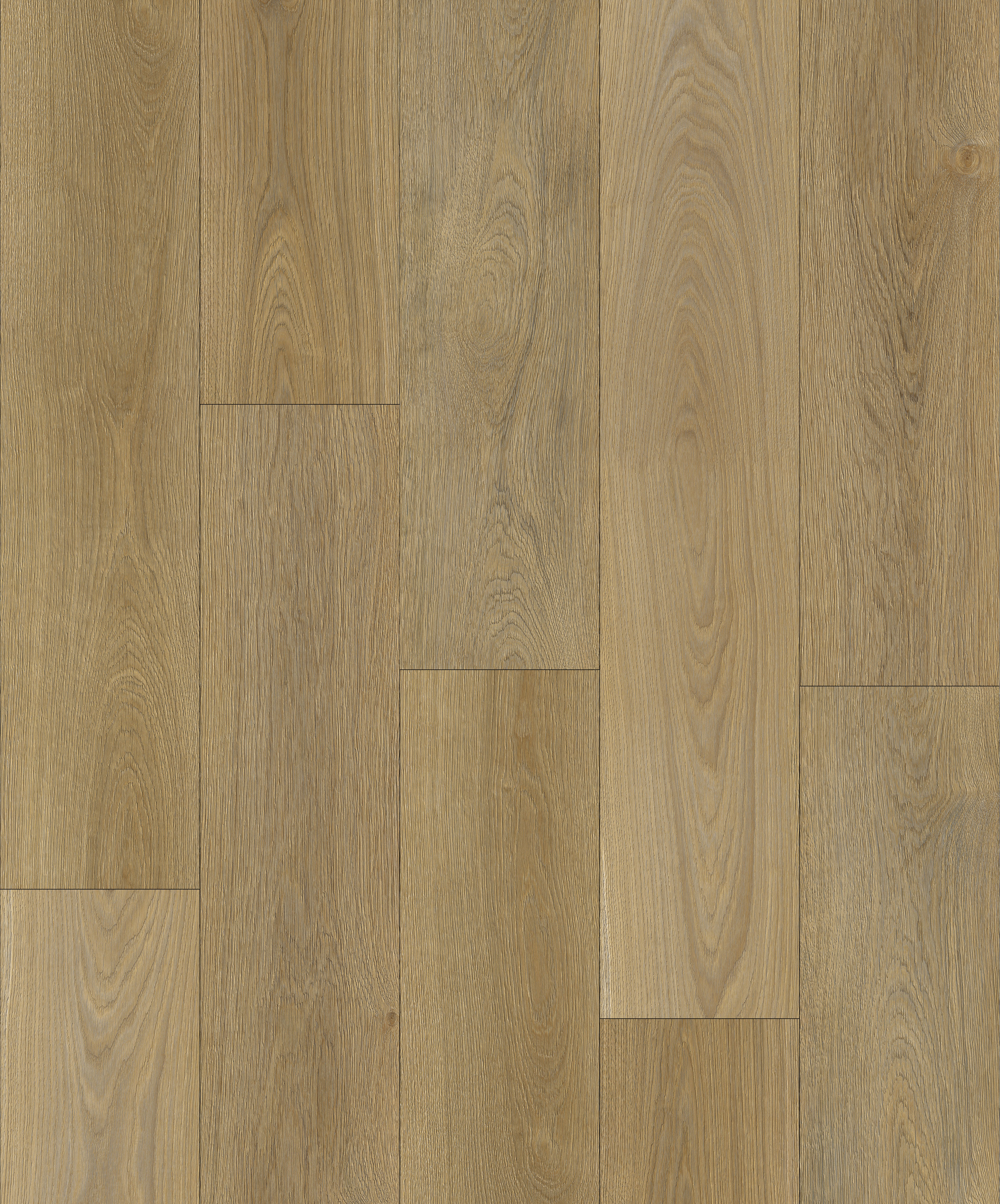 SPC click / Dry back flooring, wall panel
