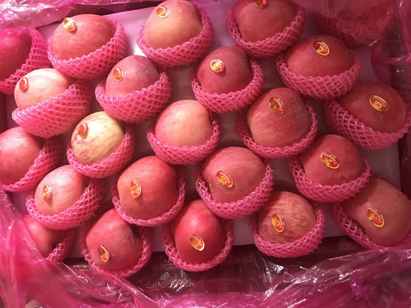 Fresh Apple,Fuji Apple,Gala Apple,Qinguan Apple,Red Star apple,Huaguan Apple