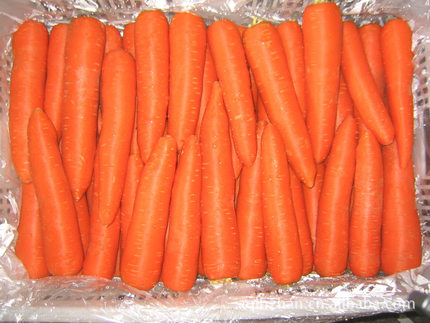 Fresh carrot