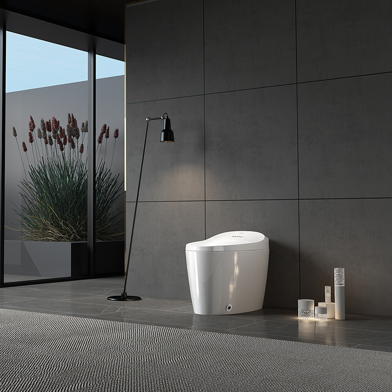 Intelligent toilet