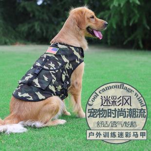 Printing Dogs Coat01