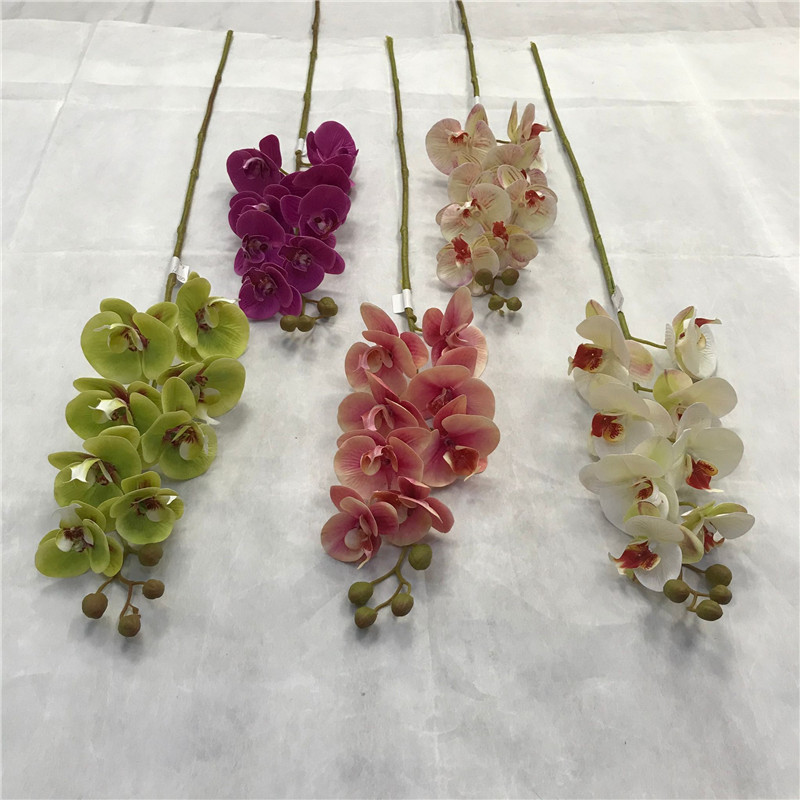 8 heads single orchid