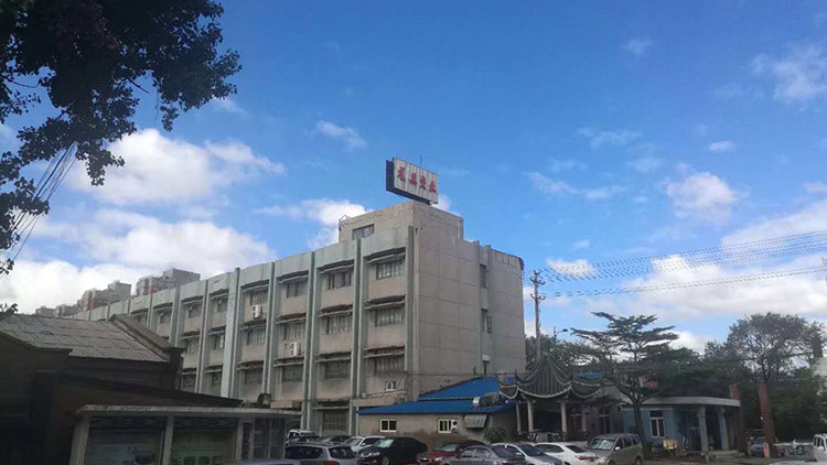 Tangshan Longying Ceramics Co., Ltd. – High-end bone china 1