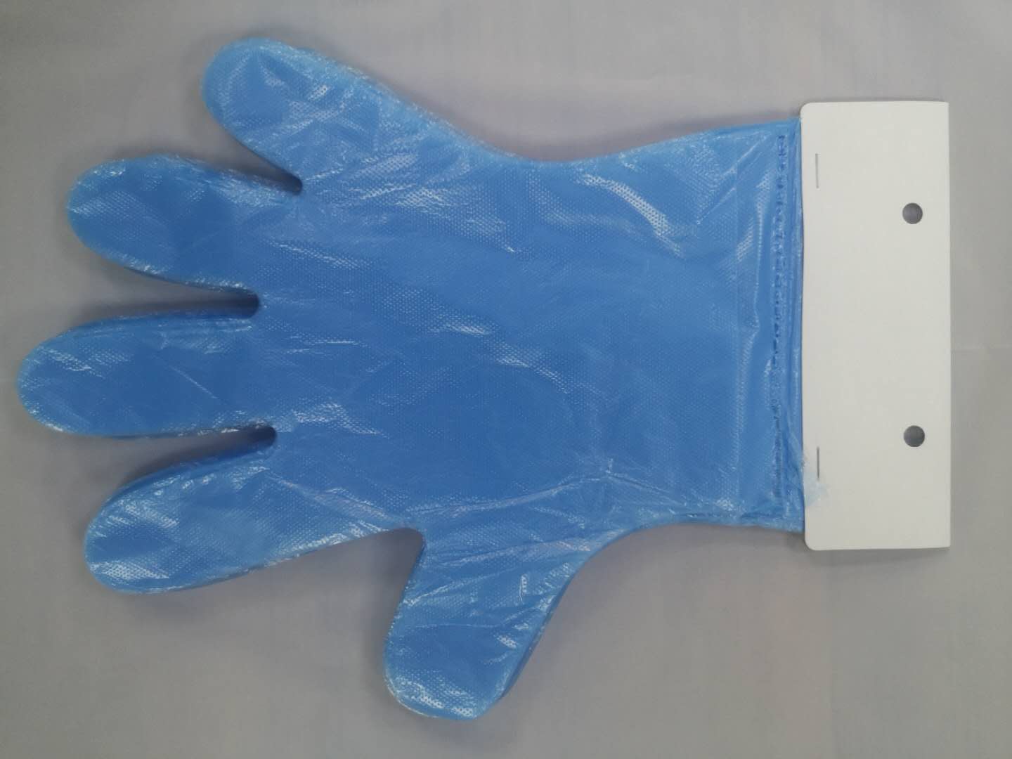 Pe Gloves