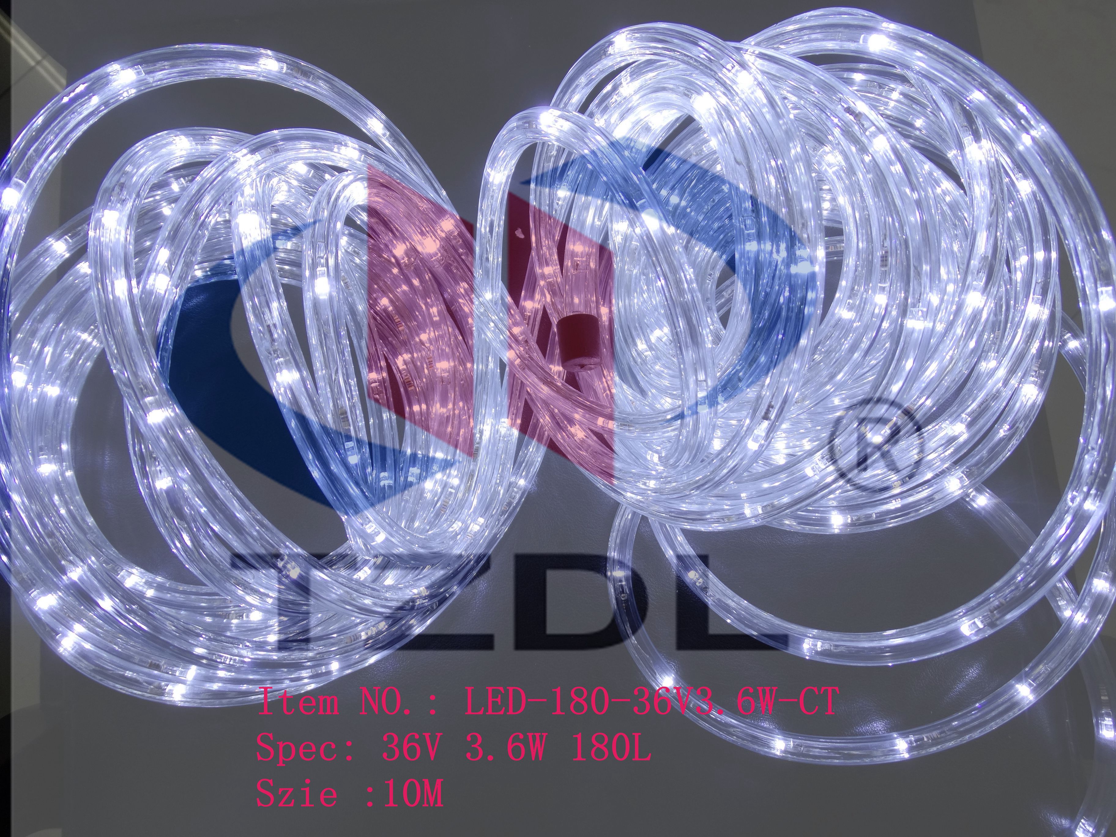 Festival product/Christmas Decoration / LED rope light
