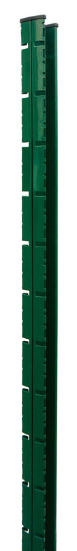 Nexus post