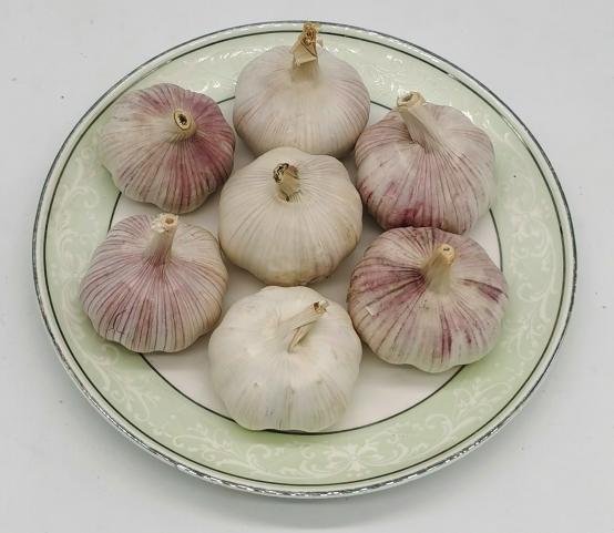 China ZLM Brand Fresh Garlic Normal White Garlic Pure White Garlic