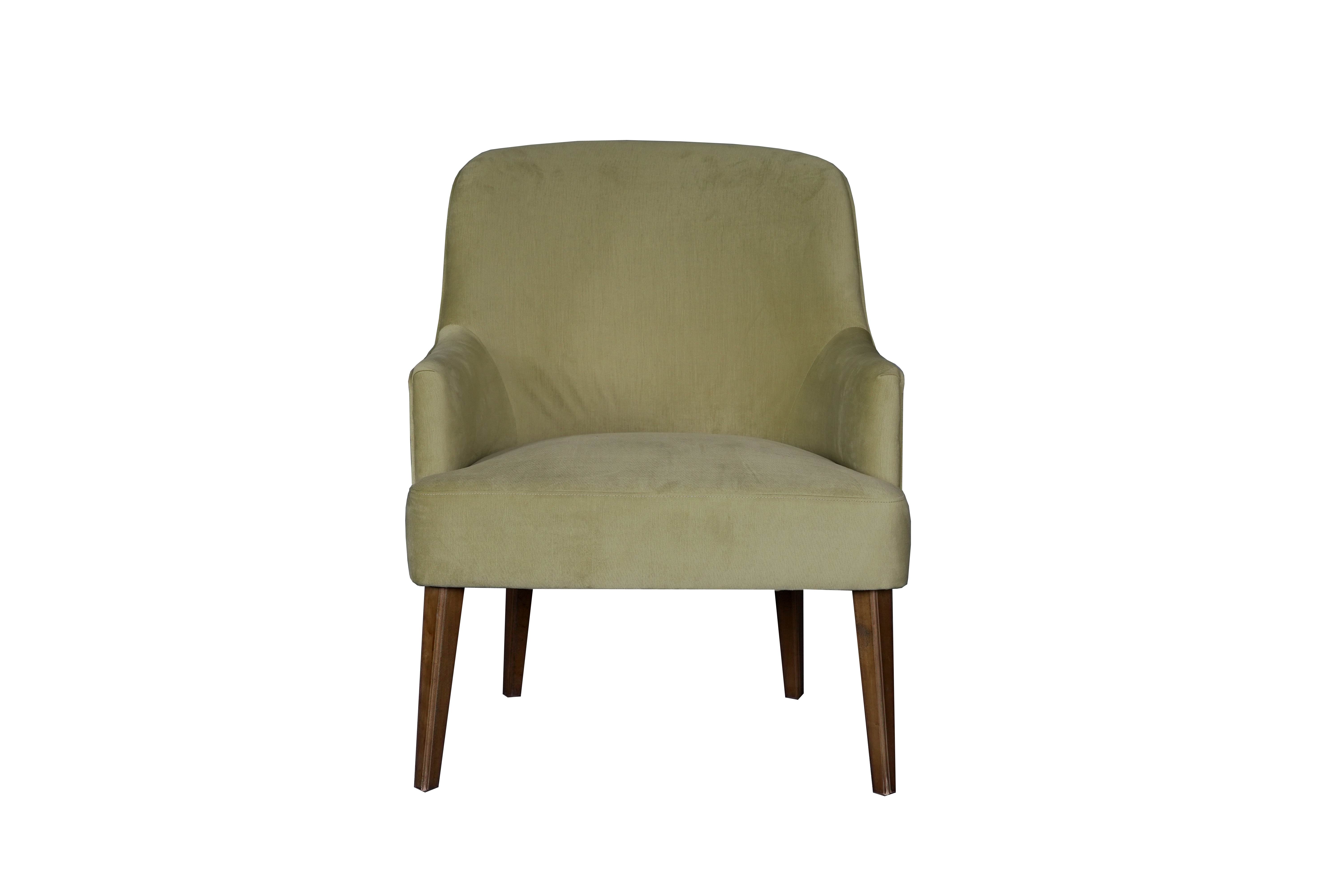 Living Room Velvet Arm Chair