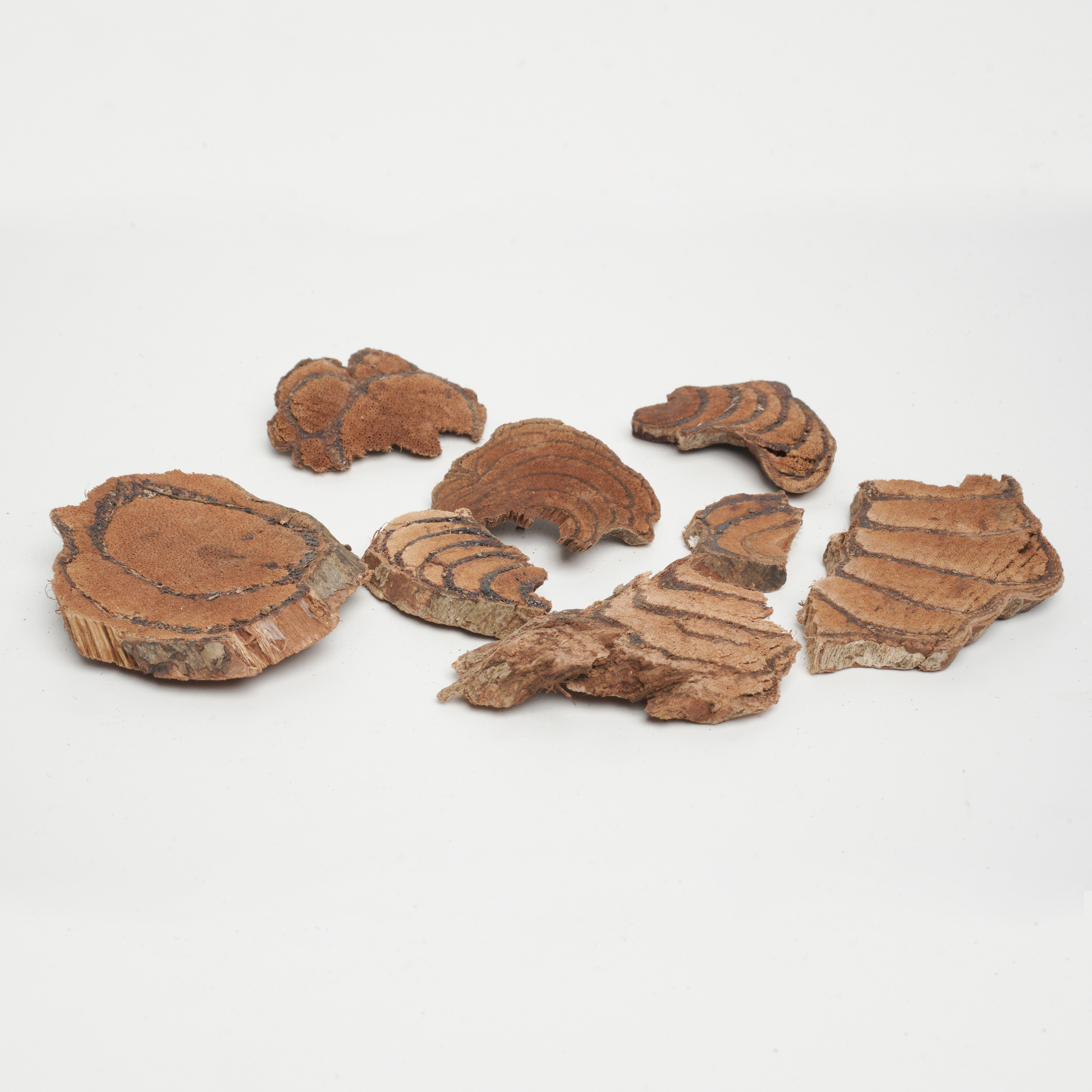Caulis Spatholobi