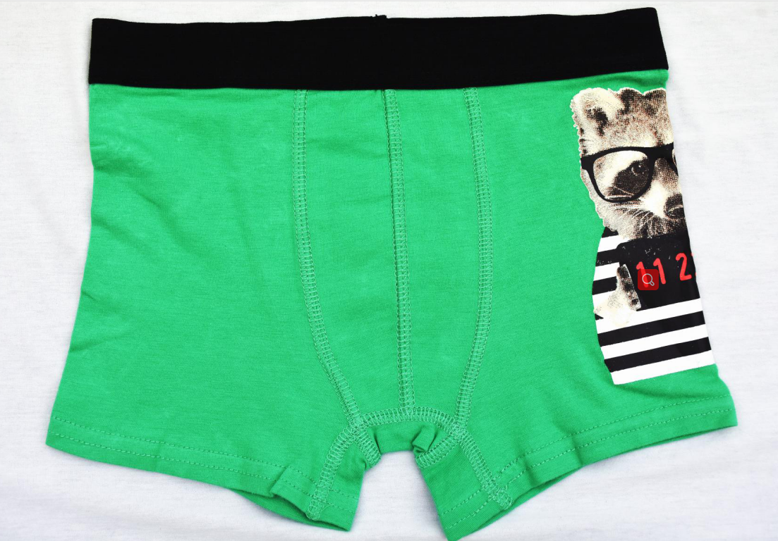 Boy's boxer