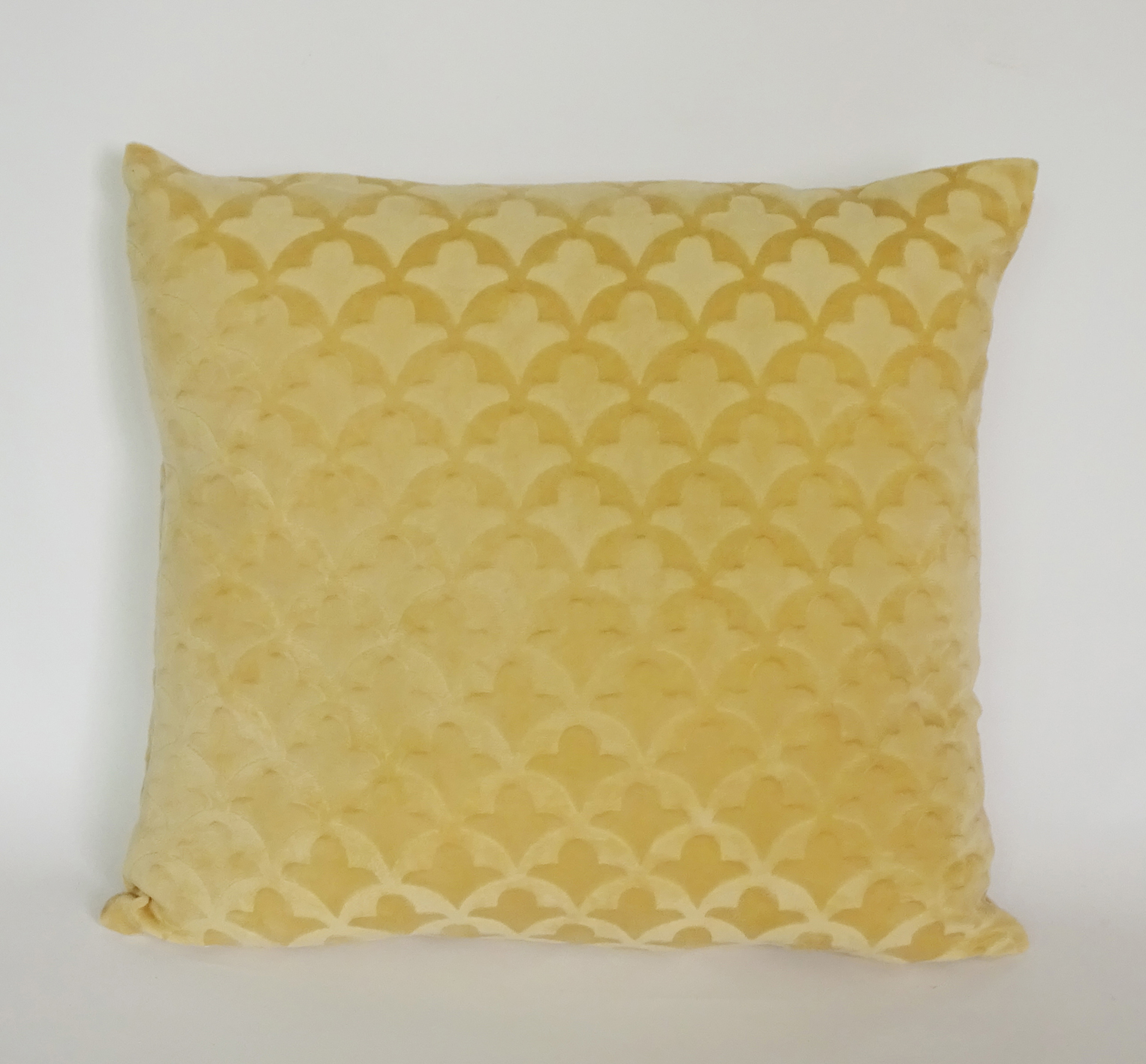 Cushion
